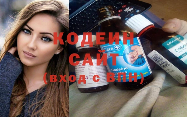 дживик Инта