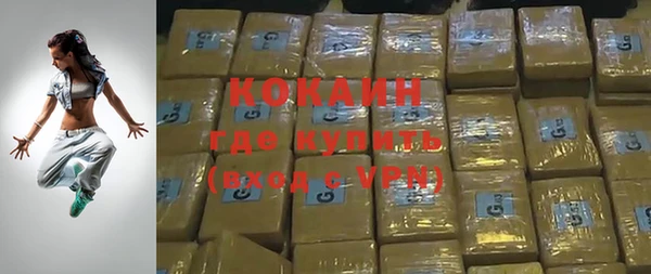 дживик Инта