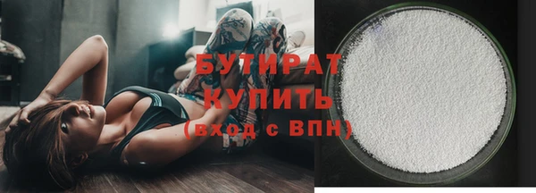 дживик Инта
