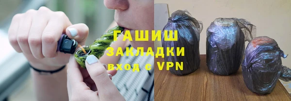 дживик Инта