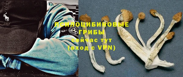 MDMA Premium VHQ Инсар