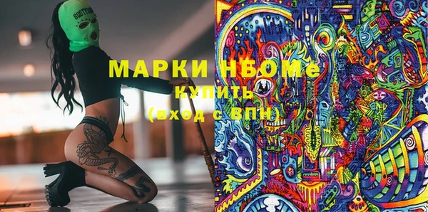 шишки Каменка