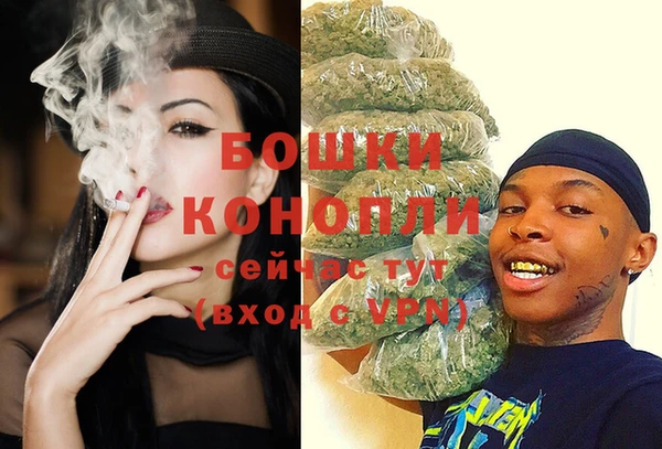 дживик Инта
