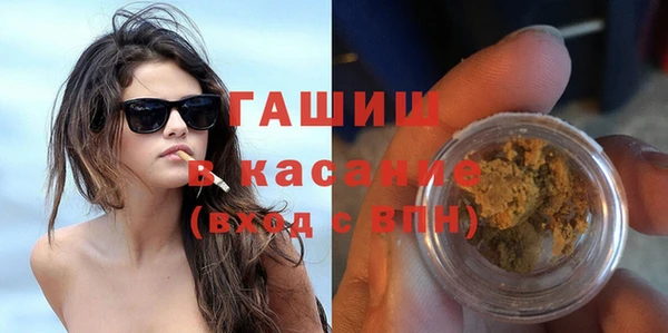 шишки Каменка