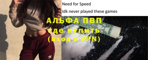 дживик Инта