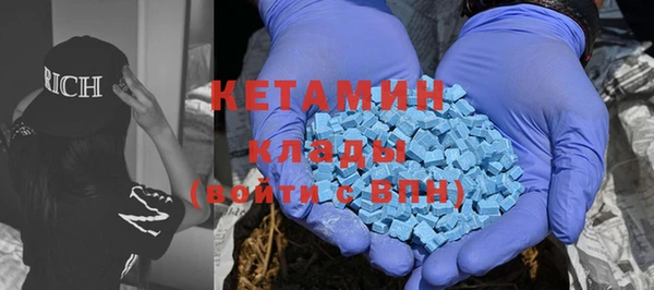 дживик Инта
