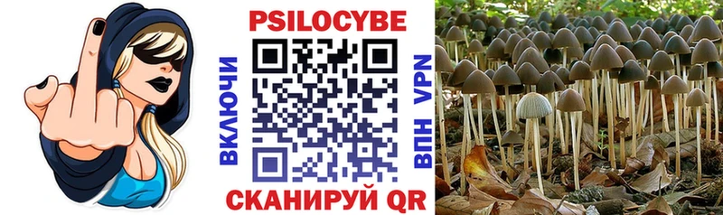 Псилоцибиновые грибы прущие грибы Кировград